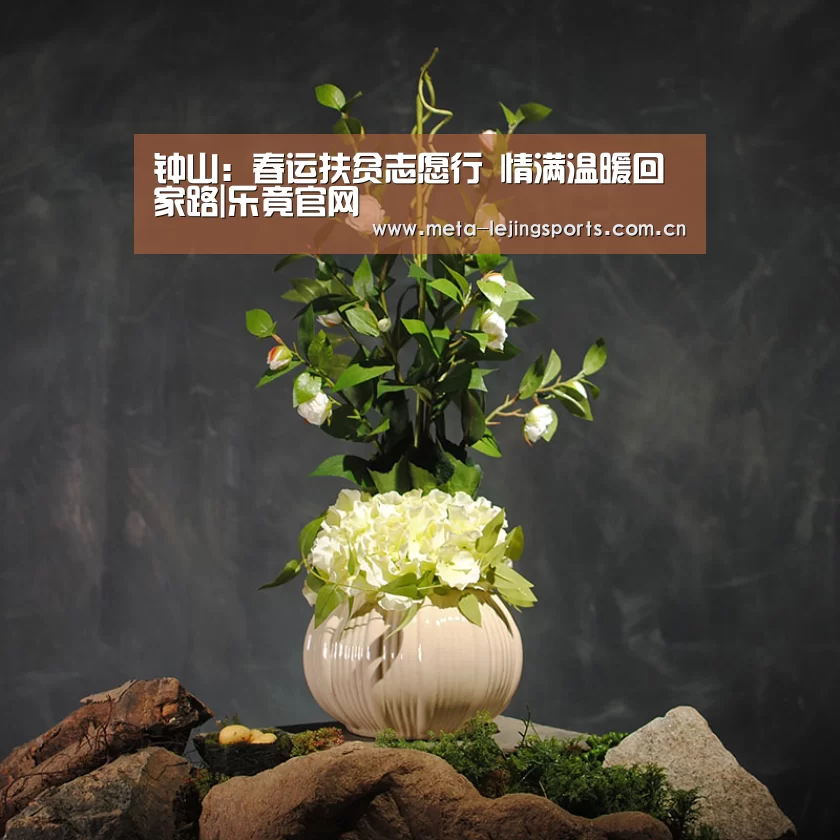 钟山：春运扶贫志愿行 情满温暖回家路|乐竟官网