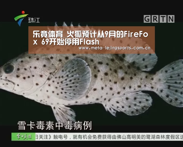 乐竟官网平台