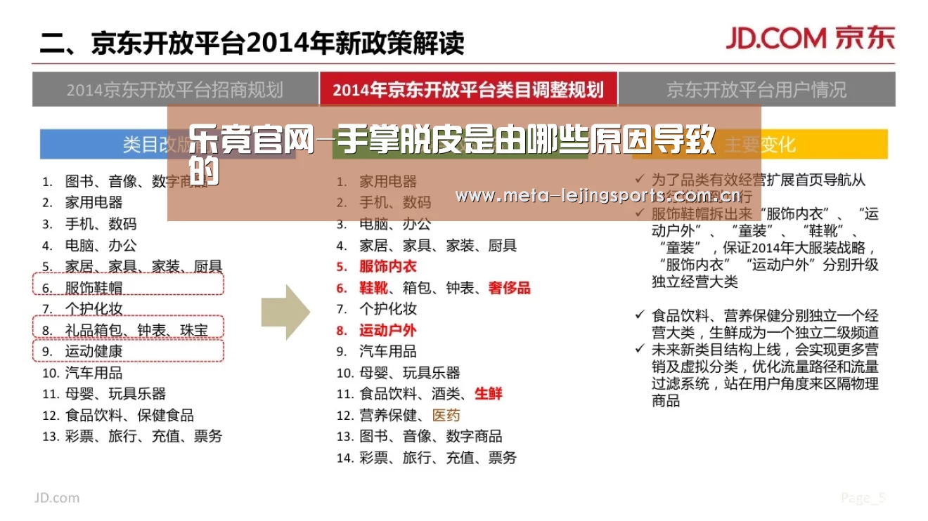 乐竟体育