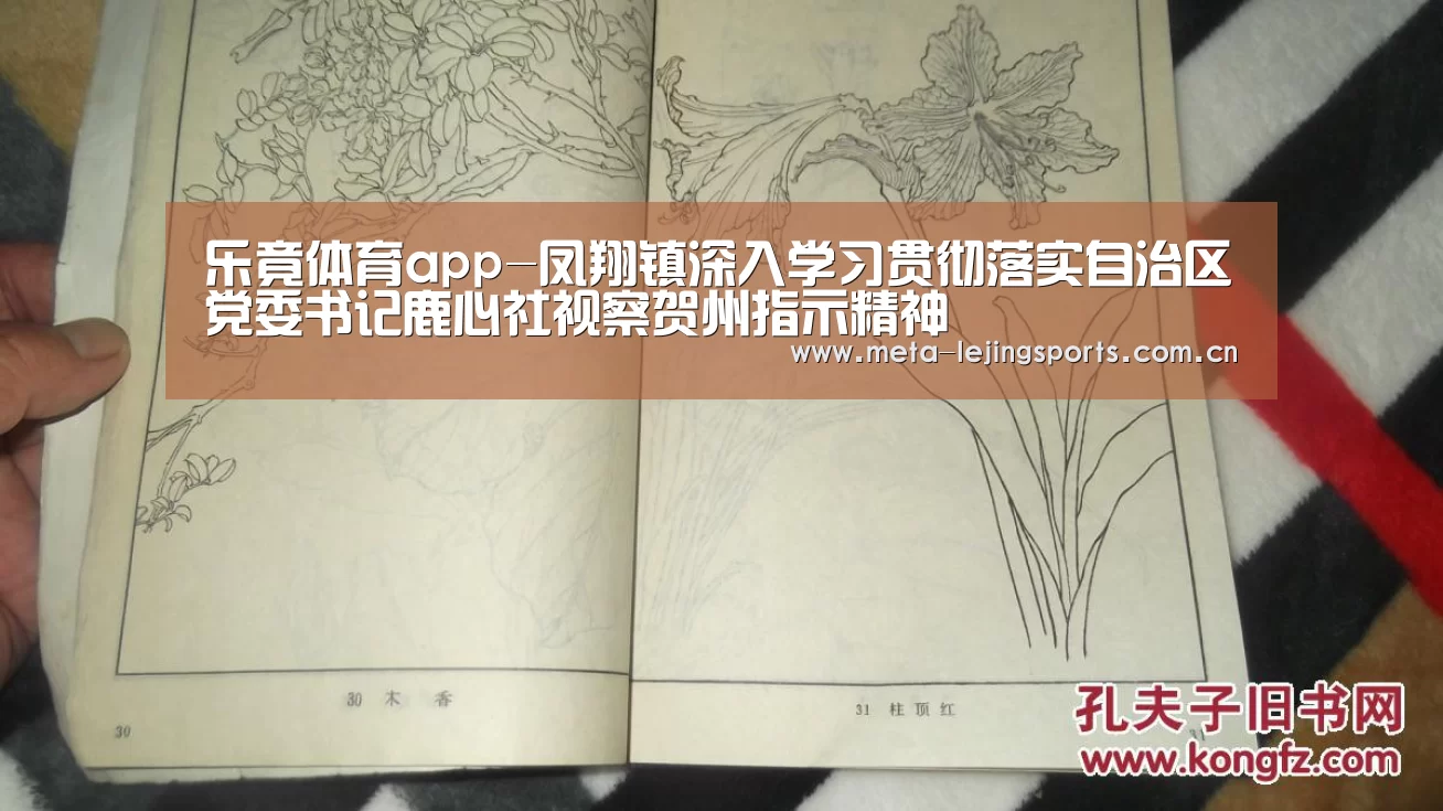 乐竟体育app-凤翔镇深入学习贯彻落实自治区党委书记鹿心社视察贺州指示精神