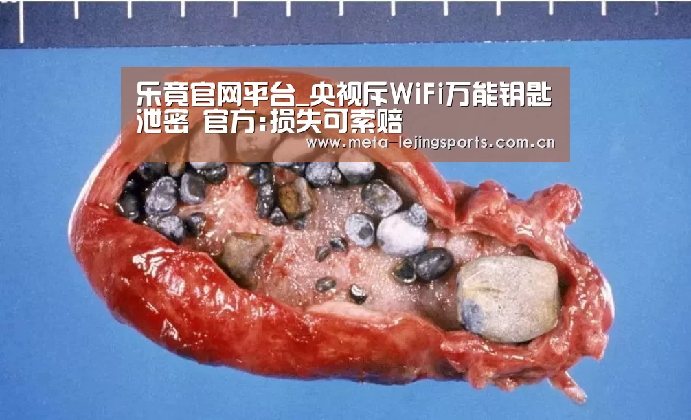 乐竟官网平台_央视斥WiFi万能钥匙泄密 官方:损失可索赔