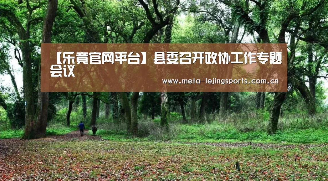 【乐竟官网平台】县委召开政协工作专题会议