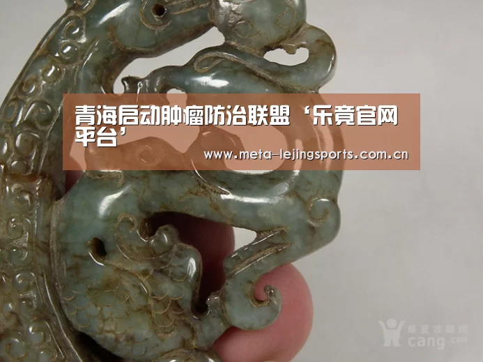 乐竟官网